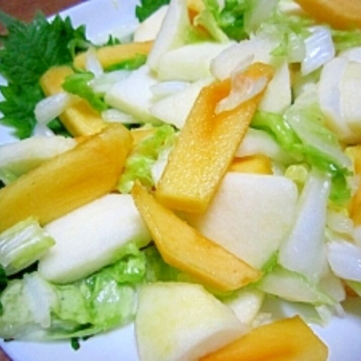 秋の味覚☆柿とリンゴと白菜のサラダ